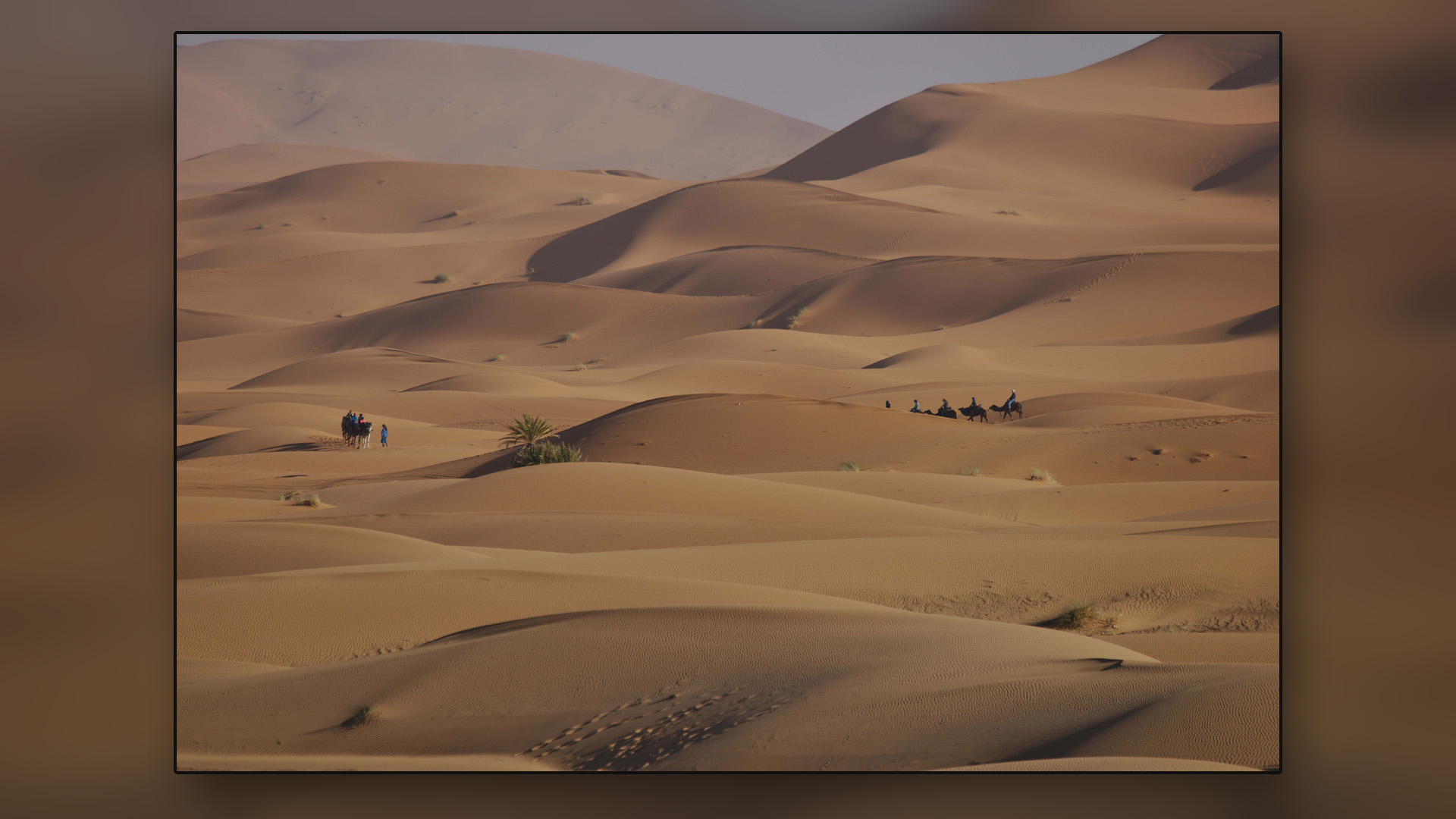 img-michael-6-linien